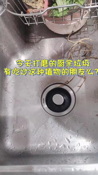 龙头净水器安装示意图 oIa73077vQGSB4ZBDJ9AQfnk8cbIACi2ugffHG~tplv-dy-resize-origshort-autoq-75:330.jpeg?biz_tag=pcweb_cover&from=3213915784&s=PackSourceEnum_AWEME_DETAIL&sc=cover&se=false&x-expires=2008825200&x-signature=KiGp6OC6zoxkdoPjehDiTjGow%2Fk%3D