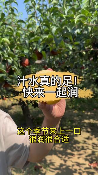 蜜蜂几点出箱几点回箱 oIbKEofpbBCZlmZlABzAIDcIepyggBjAzshBN4~tplv-dy-resize-origshort-autoq-75:330.jpeg?biz_tag=pcweb_cover&from=3213915784&s=PackSourceEnum_AWEME_DETAIL&sc=cover&se=false&x-expires=2010531600&x-signature=tcr9nR0lhu%2FY28DFKmHzhuToW58%3D