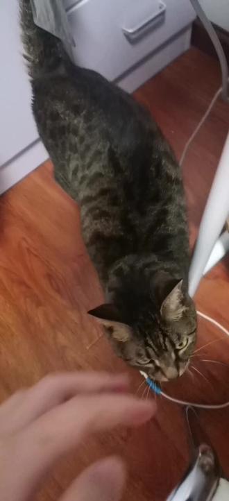 鲨鱼裤怎么搭配好看小个子 oIfhDAAezERRo9Agt6AKx2IC3MLqnblBDaxlYo~tplv-dy-resize-origshort-autoq-75:330.jpeg?biz_tag=pcweb_cover&from=3213915784&s=PackSourceEnum_AWEME_DETAIL&sc=cover&se=false&x-expires=2012504400&x-signature=KTuoaxRueyGWC3dIX5jUM%2FpqAJA%3D