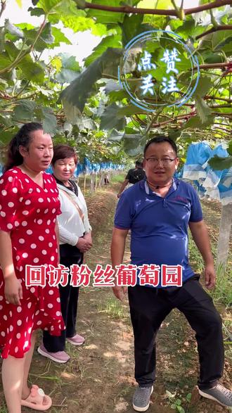 大家都用什么软件聊天 oMT31zaLIADRNoDAFA7hJwYPsEjegTf5yWB4JN~tplv-dy-resize-origshort-autoq-75:330.jpeg?biz_tag=pcweb_cover&from=3213915784&s=PackSourceEnum_AWEME_DETAIL&sc=cover&se=false&x-expires=2008634400&x-signature=axgNMNcSAYYVsQ875BeyFTeSB%2Fg%3D