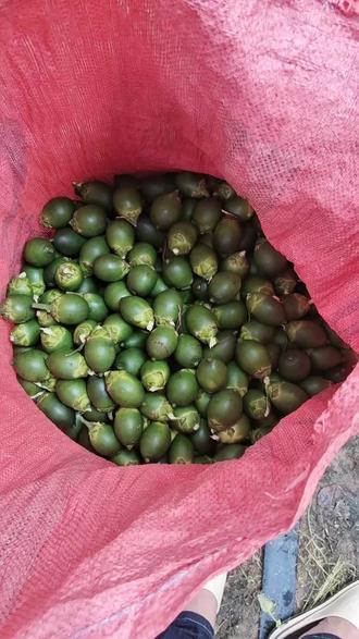 国内十大旅游景观 oMnoEEDnS7bBgVTCKJS9BfaIn2eWN7Afw7CHtA~tplv-dy-resize-origshort-autoq-75:330.jpeg?biz_tag=pcweb_cover&from=3213915784&s=PackSourceEnum_AWEME_DETAIL&sc=cover&se=false&x-expires=2010625200&x-signature=1tIDDFqtPgcW02RuB4zRbTH7VgQ%3D