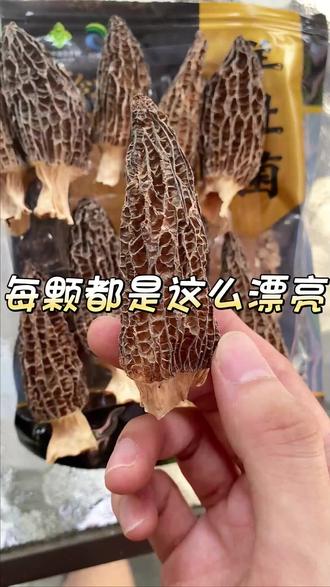 小技巧大作用你学会吗 oYEAcAfhgEzkuLCAdKEgt8hHyMIRedpACFugDB~tplv-dy-resize-origshort-autoq-75:330.jpeg?biz_tag=pcweb_cover&from=3213915784&s=PackSourceEnum_AWEME_DETAIL&sc=cover&se=false&x-expires=2010700800&x-signature=L7qoBmX9YmrnTgEVv4b%2FWUWng1E%3D