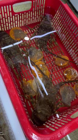 好用的烧烤夹推荐 oYGAUgC8OfiSABCS4yKXeGgaMhEStAjzIAx2nJ~tplv-dy-resize-origshort-autoq-75:330.jpeg?biz_tag=pcweb_cover&from=3213915784&s=PackSourceEnum_AWEME_DETAIL&sc=cover&se=false&x-expires=2010787200&x-signature=b%2Bd9en4Uxrs1wawuO2XZaPAwEPU%3D