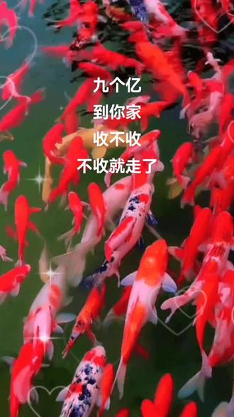 纸飞机第一名飞得又高又快的飞机 oYYyiBz7EABhhkLjNAAgIs9fTPRvJhkduYDeC7~tplv-dy-resize-origshort-autoq-75:330.jpeg?biz_tag=pcweb_cover&from=3213915784&s=PackSourceEnum_AWEME_DETAIL&sc=cover&se=false&x-expires=2011737600&x-signature=mLgk3D14aKZrJbCFoqGtQVczGLQ%3D