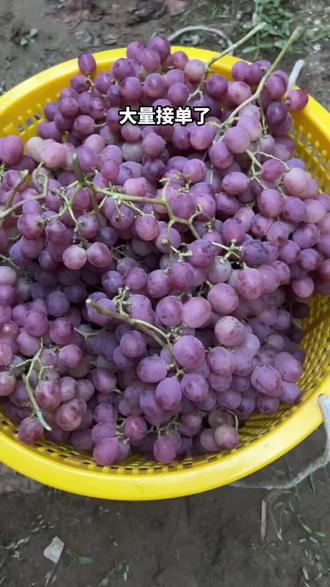 蜂巢蜜怎么取蜜 oYtkX79XA2z9E2ghkPfe0EG5Act8IgBPjEBCgA~tplv-dy-resize-origshort-autoq-75:330.jpeg?biz_tag=pcweb_cover&from=3213915784&s=PackSourceEnum_AWEME_DETAIL&sc=cover&se=false&x-expires=2010574800&x-signature=ysQRG8BeBQjy%2BmFJj%2FhVrgMxRRY%3D