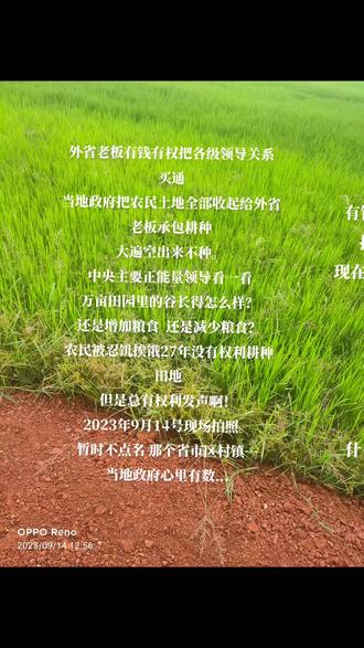 番茄酱茄子做法视频播放 oglsJbxznA0leeNA6DDKyKIVABNQWirgIN9MkA~tplv-dy-resize-origshort-autoq-75:330.jpeg?biz_tag=pcweb_cover&from=3213915784&s=PackSourceEnum_AWEME_DETAIL&sc=cover&se=false&x-expires=2012479200&x-signature=wsoFZQab7CNlPmSfxkmukln4fug%3D