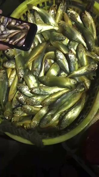 蜜蜂几月份可以诱蜂 okIAJelRLBSGADnDQbEfmNCgDWbZcBYFUIcA9i~tplv-dy-resize-origshort-autoq-75:330.jpeg?biz_tag=pcweb_cover&from=3213915784&s=PackSourceEnum_AWEME_DETAIL&sc=cover&se=false&x-expires=2011089600&x-signature=Ogs0uZZNqqkselhn1ZntgAyqxh0%3D