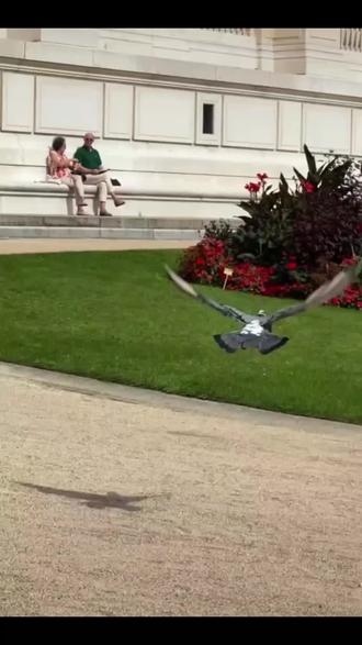 宣传片脚本制作思路 okR3KAt6DjIBzKecAagVEVfhOvV0wyaNzbARBv~tplv-dy-resize-origshort-autoq-75:330.jpeg?biz_tag=pcweb_cover&from=3213915784&s=PackSourceEnum_AWEME_DETAIL&sc=cover&se=false&x-expires=2011644000&x-signature=A1Yk5PxKvgEXkEMkDXcswYhoCRE%3D