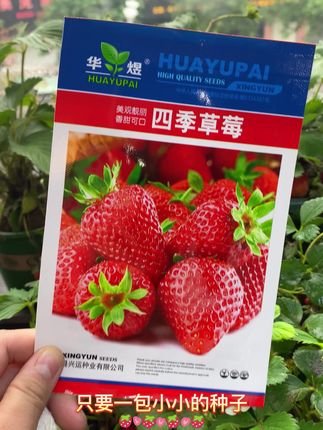 草莓是什么季节吃最好 osxv5FchmV9BEIOE7BfkA7QzgmCvqAdoNfLArB~tplv-dy-cropcenter:323:430.jpeg?biz_tag=pcweb_cover&from=3213915784&s=PackSourceEnum_PUBLISH&sc=cover&se=true&sh=323_430&x-expires=1996509600&x-signature=tR3eI2OXaZzZrVs45BREVjusSvI%3D