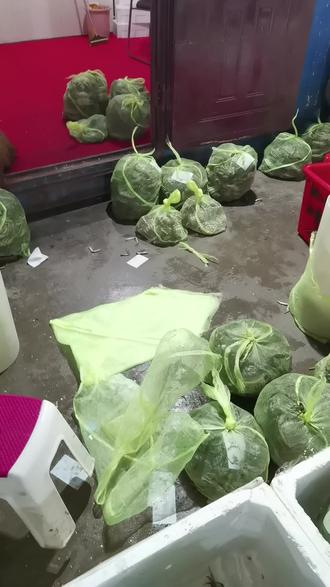 妙手仁心第一部国语全集免费 owuBi3KRDf7fDgJB8fAoZIQnTAIaEOuCIGbgkP~tplv-dy-resize-origshort-autoq-75:330.jpeg?biz_tag=pcweb_cover&from=3213915784&s=PackSourceEnum_AWEME_DETAIL&sc=cover&se=false&x-expires=2010556800&x-signature=70Wj8XDaILyXbjIMX1VXuCZKn9U%3D