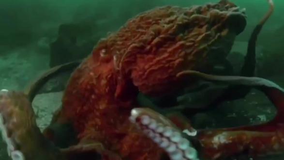 科学探索纪录片全集中文 okkejJsaIGTMBYJBEr1yJAAuApf3CCt9ngTzWh~tplv-dy-resize-origshort-autoq-75:330.jpeg?biz_tag=pcweb_cover&from=3213915784&s=PackSourceEnum_AWEME_DETAIL&sc=cover&se=false&x-expires=2008976400&x-signature=e05C6d5ye5fwdF%2FFqq4IKekG1xU%3D