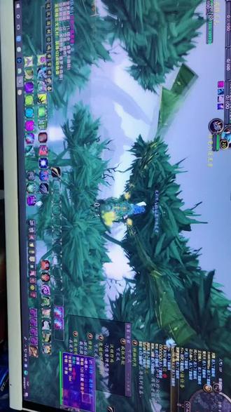 #魔兽世界坐骑 安苏就是一只乌鸦