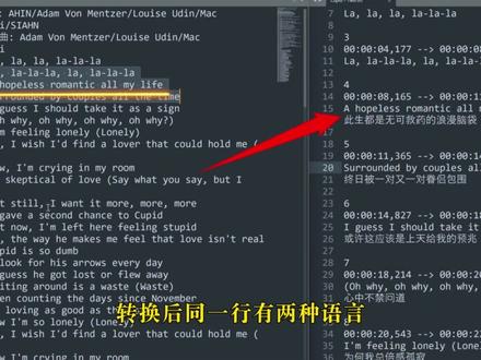 🥳新年福利!LRC歌词与SRT字幕互转来了~ 新年福利!Windows版“LRC2SRT”,LRC歌词与SRT字幕互转,轻松批量处理|有兑*码
#字幕转换 #歌词转换 #subtitle #视频剪辑