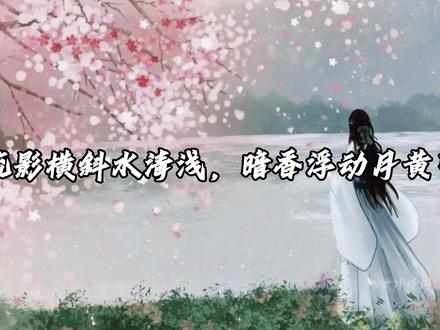 所以你读过最有意境的一句诗词是什么?#诗词 #古诗词 #唯美诗词