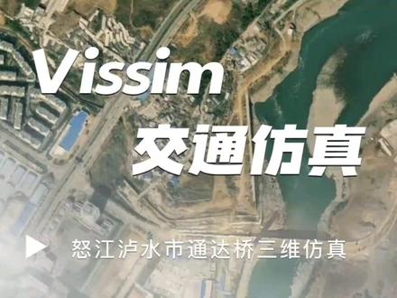 vissim交通仿真——怒江洲泸水市通达桥三维仿真