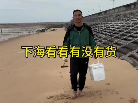 有谁认识沙子里面的是什么虫吗?