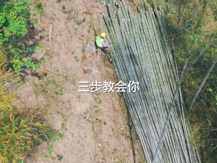 三步学会规范吊运毛竹!做好安全宣导,完成装卸场地清障,竹子双绑起飞,稳稳吊运,安全作业 #大疆农业 #低空经济 #大疆T100S #无人机吊运