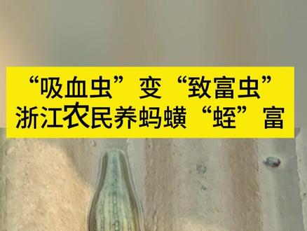 “吸血虫”变“致富虫”