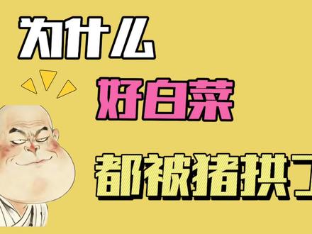 为什么好白菜都被猪拱了#科普#冷知识科普 #成长思维
