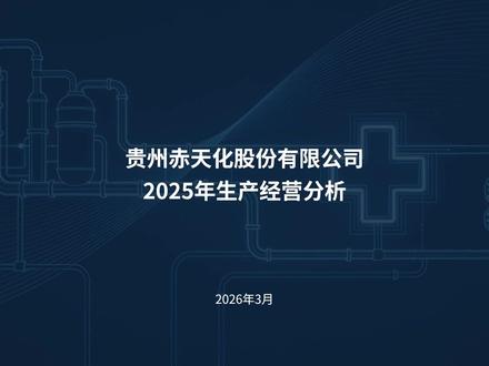 贵州赤天化2025生产经营分析