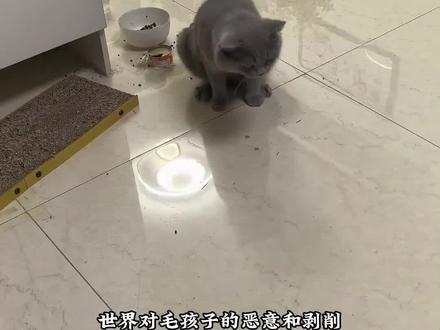 鲜朗这一波赢在大气层了!!
#看鉴放心宠粮 #鲜朗 #鲜朗猫粮 #毒猫粮 #萌宠