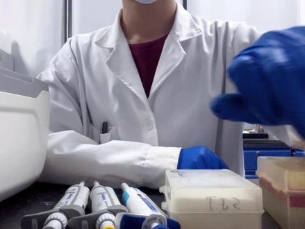 理论讲解+实际操作,带你玩转Western Blot ,该章节为第一节 主要教学在wb中如何制制备蛋白样本,详细清楚拍摄整个过程,裂解细胞后通过BCA试剂盒测量浓度,最后制样,希望对你有帮助!点个关注 科研不迷路!#科研不迷路