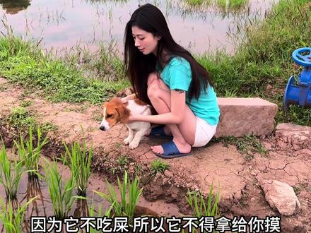 再也不想摸动物了#吐司妹妹 #糟糕是心动的感觉