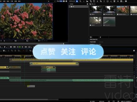 EDIUS教程|08代理模式的使用#EDIUS#代理模式 #edius教程 #EDIUS技巧 #教程分享 #教程 #剪辑教程 #视频剪辑