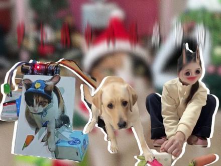 萝卜纸巾猫二创大赛名场面,全是神操作! #萝卜纸巾猫 #开门猫 #离谱 #抽象 #萝卜纸巾