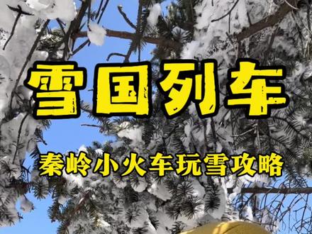 冬日限定雪国列车🚄,秦岭小火车1日游玩攻略 ⚠️最最最重要的就是下雪去,或者雪后第一二天,没有雪真的没有可玩性❤️❤️❤️#秦岭小火车 #秦岭 #户外 #西安周边游 #西安亲子游