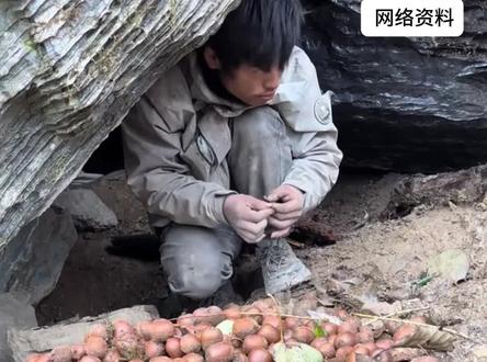 这次《荒野求生》节目提前结束了,虽然官方说是因为天气,其实还有别的原因。#荒野求生 #社会新闻