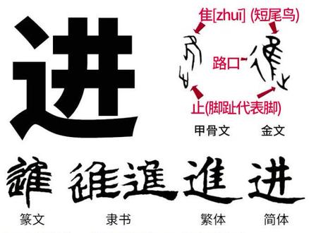进 #说文解字 #识字 #鸟 麻雀跳跃前行