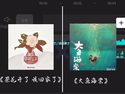 做不到的承诺就不要说,没有想好给她一生就不要打扰,否则你还不起#不愧是我 #茶花开了 #创作者扶持计划 #大鱼海棠