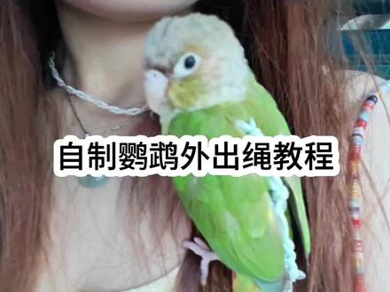教程图我放评论区了,需要自取哈 我不是原创,纯分享#萌宠鹦鹉 #真实生活分享计划 #我要上热门 #鹦鹉 #结绳技巧 @DOU+小助手
