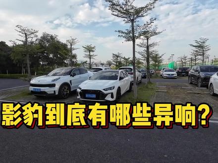 影豹到底有哪些异响? #影豹 #异响 #车主 #影豹车友 #汽车