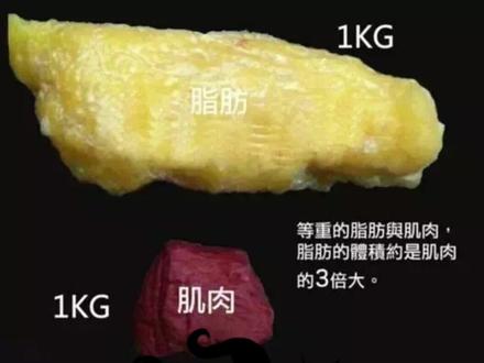#减肥误区 #减脂 #健身 你被这张图骗多久了呢?