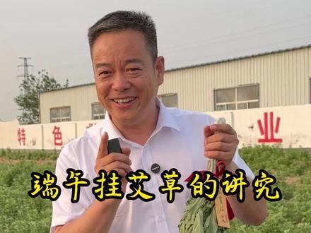 端午节挂艾草有什么讲究#端午 #艾草 #中国传统文化