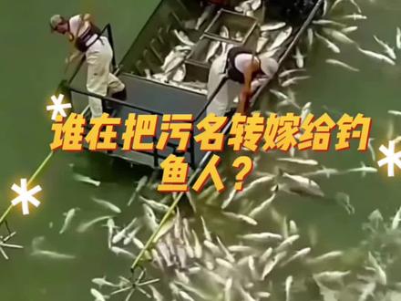 究竟是谁在把污名转嫁给钓鱼人? #爱生活爱钓鱼 #钓鱼人 #钓鱼人就是这么疯狂 #非法捕捞