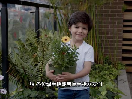 养晚香玉?别让你的“夜来香”变成“夜来丧”!