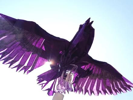 我是真的想教会你们折这只帅气的老鹰啊(第一部分) #现代折纸 #老鹰 #折纸 #教程