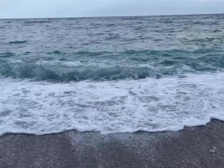 关税四大板块受益公司