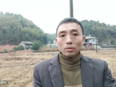 以前没人要的茶枯饼,现在都卖2000多一吨,你们知道它的用途吗