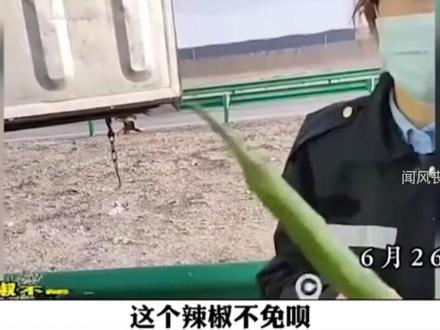 司机拉线椒过绿通,却被要求强行补交过路费,收费员:线椒不属干辣椒#绿通 #社会百态