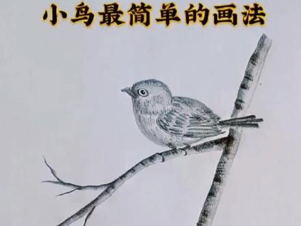 小鸟最简单画法 一只站在树枝上的小鸟,从来不担心树枝会突然折断,因为它相信的不是树枝,而且它拥有飞翔能力的翅膀…#创作灵感 #零基础学画画 #简笔画 #画画 #原创 #一起学画画 #教你学画画 #抖出我的艺术 #推荐