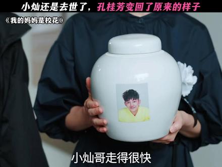 或许还有转机! #我的妈妈是校花 #邓恩熙#蒋龙#刘琳