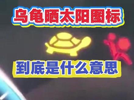 乌龟晒太阳图标到底是什么意思 #汽车安全知识 #每天一个用车知识 643c