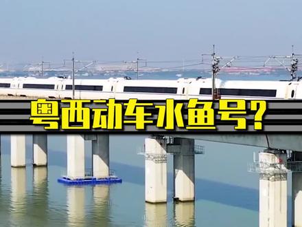 #广东 水鱼号什么意思?#粤西 #广州 #湛江 #茂名