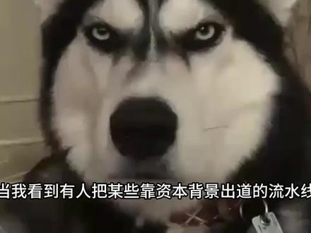 cortis没有对手 懂?
什么玩意儿?别来沾边!#KPOP #六代男团 #cortis #coer #无语