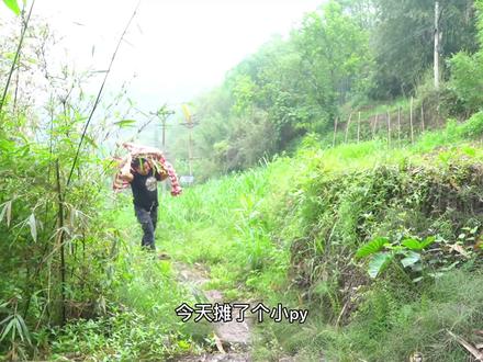 30买一副牛骨架,二锅做“辣卤牛骨”麻辣过瘾 软烂脱骨 #跟我学做菜 #抖音美食创作人 #抖音美食国潮味儿