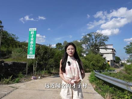 了不起的村庄,全村600多人考上大学,10多人考上清北,还有18名博士、50名硕士!#湖南邵阳 #了不起的村落 #才子之乡